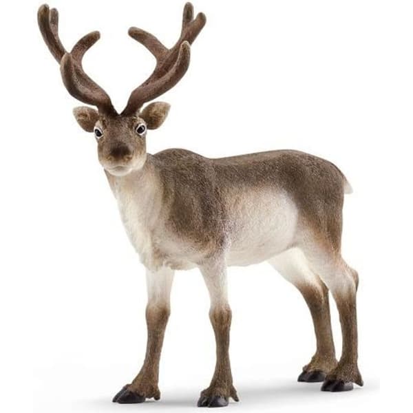 Renfigur - SCHLEICH - Vilda liv - Grå - Från 3 år - Barn - Blandat
