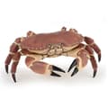 Miniatyrbild 1 av 6: Figur - PAPO - Krabba - Blandad - Enfärgad - Interiör