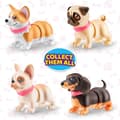 Miniatyrbild 4 av 4: Zuru pets alive - 9535A - Pets Alive Booty Shaking Pups Robotleksak med batteri (Set om 2: Mops och Corgi) av ZURU