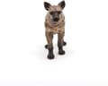 Miniatyrbild 3 av 6: Papo - Hyena statyett