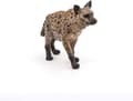 Miniatyrbild 4 av 6: Papo - Hyena statyett