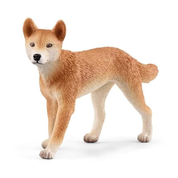 SCHLEICH - Äventyr i Oceanien - 42623 - Range Wild Life