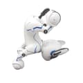 Miniatyrbillede 3 af 5: Power Puppy - Min intelligente programmerbare og taktile fjernstyrede robothund - LEXIBOOK