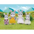 Pikkukuva 1 / 3: SYLVANIALAISTEN PERHEET 3134 Harmaan kaniperhe