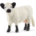Miniatyrbild 1 av 2: Figur - SCHLEICH - 13960 - Galloway-ko - 4 x 13 x 9 cm - Från 3 år