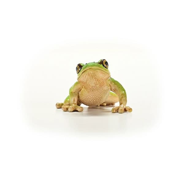 14882 figurine Grodor