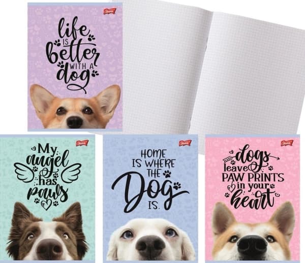 MAJEWSKI Zeszyt A5 16k krata laminated Dog p15, mix price per 1 piece
