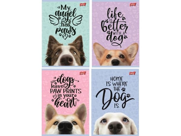 MAJEWSKI Zeszyt A5 16k line double two-color laminated Dog p15, mix price per 1 piece