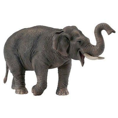 Figurin - FIGURINES COLLECTA - Asiatisk elefant - Blandad - 3 år och uppåt - Inomhus