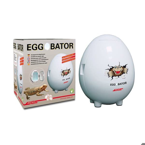 Lucky Reptile - Egg-o-Bator - Brutapparat
