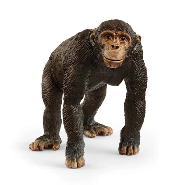 schleich® WILD LIFE Simpanssi14883
