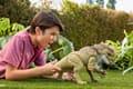 Miniatyrbild 3 av 4: Jurassic World Rebirth Rumble n Rampage Distortus rex