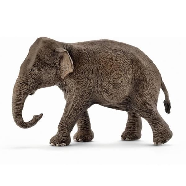 Schleich Figurine - Asiatisk elefant hona - Pedagogisk leksak för barn