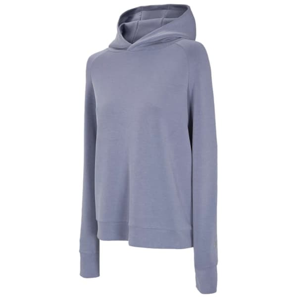 4F Women's Hoodie H4L21-BLD017-32S, Kvinna, Tröjor, Blå Blue XS