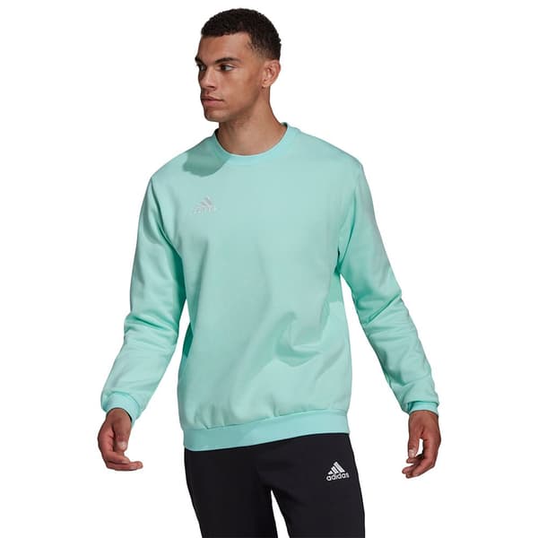 Adidas Tröja Entrada 22 Stadium Sw Grönt L / Regular Man