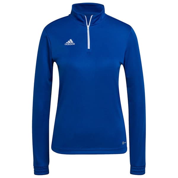 Adidas Huppari Entrada 22 Training Sininen M / Regular Nainen
