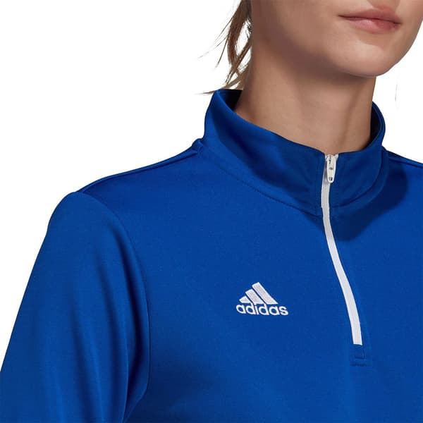 Adidas Huppari Entrada 22 Training Sininen M / Regular Nainen