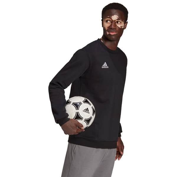 Adidas Huppari Entrada 22 Stadium Sw Musta M / Regular Mies