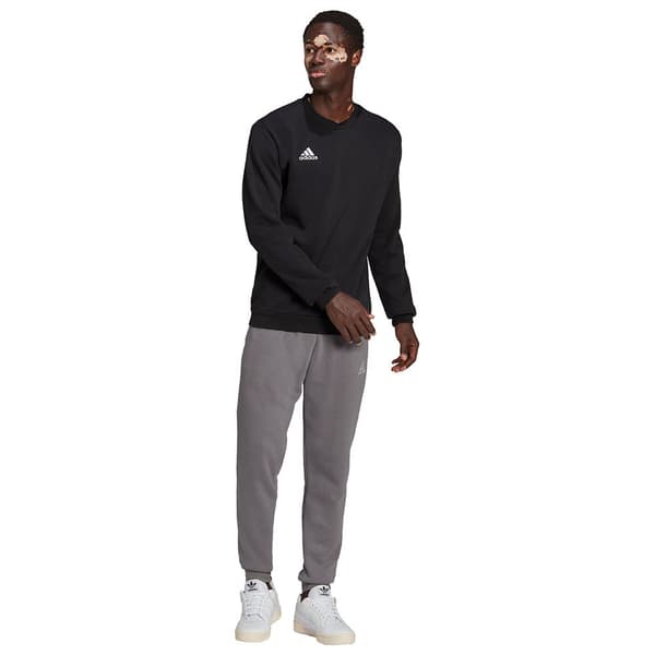 Adidas Huppari Entrada 22 Stadium Sw Musta M / Regular Mies