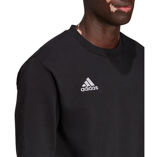 Adidas Huppari Entrada 22 Stadium Sw Musta M / Regular Mies