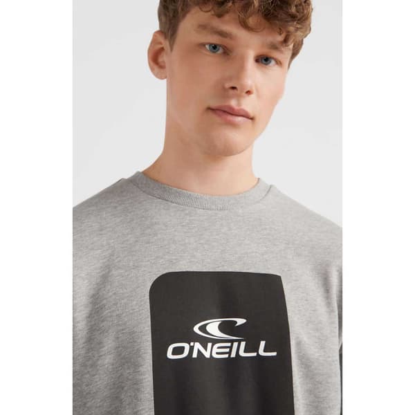 O´neill Tröja Cube Grå M Man