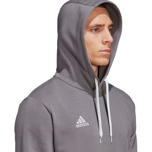 Adidas Hættetrøje Entrada 22 Grå M / Regular Mand