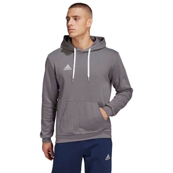 Adidas Hættetrøje Entrada 22 Grå M / Regular Mand
