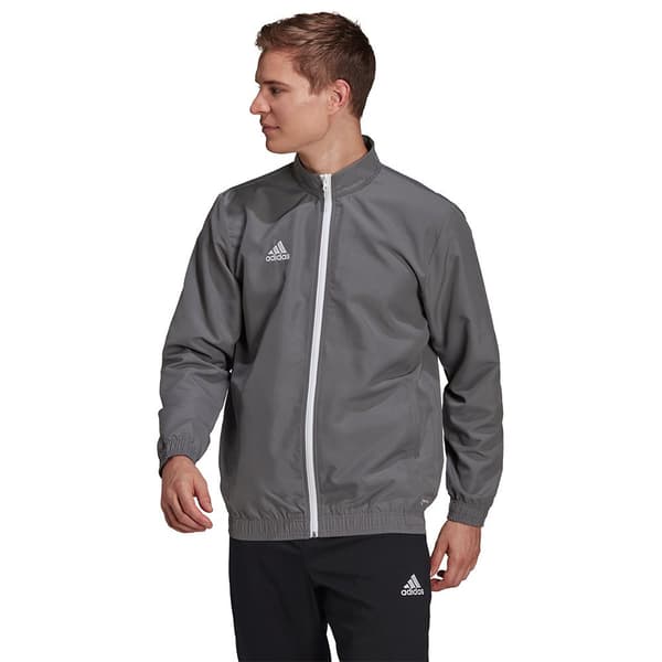 Adidas Jacka Entrada 22 Grå XL / Regular Man