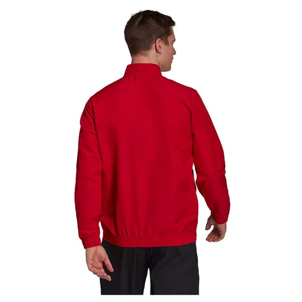 Adidas Takki Entrada 22 Punainen 2XL / Regular Mies