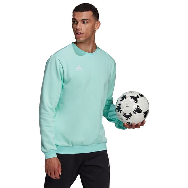 Adidas Sweatshirt Entrada 22 Stadium Sw Grøn M / Regular Mand