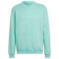 Miniatyrbillede 1 af 6: Adidas Sweatshirt Entrada 22 Stadium Sw Grøn M / Regular Mand
