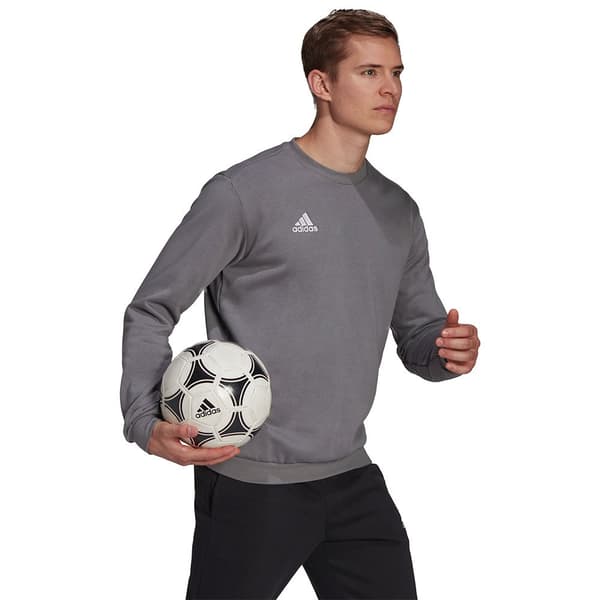 Adidas Tröja Entrada 22 Stadium Sw Rosa M / Regular Man