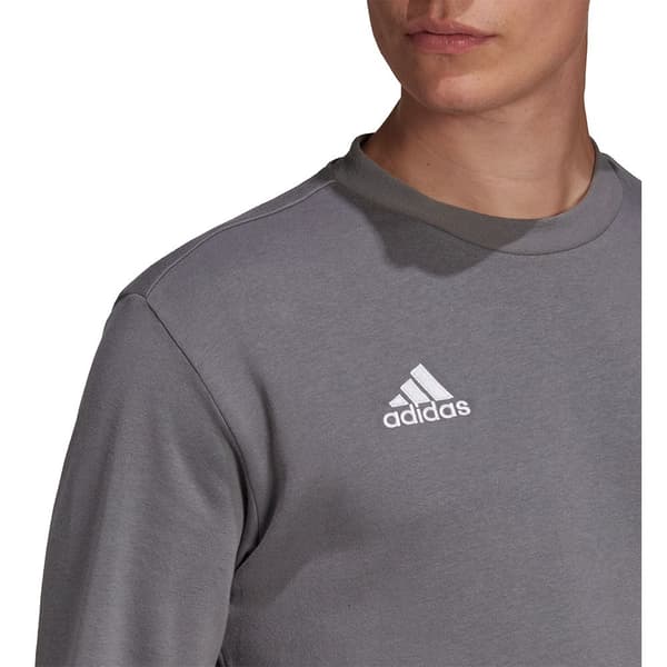Adidas Tröja Entrada 22 Stadium Sw Rosa M / Regular Man