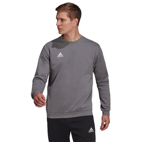 Adidas Tröja Entrada 22 Stadium Sw Rosa M / Regular Man