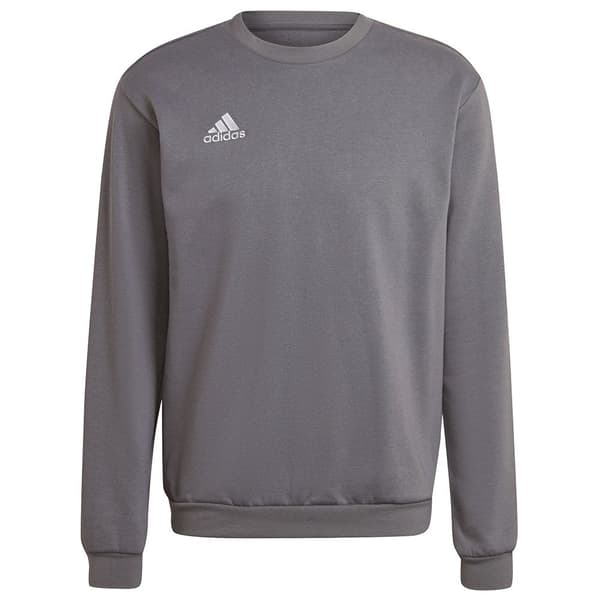Adidas Tröja Entrada 22 Stadium Sw Rosa M / Regular Man