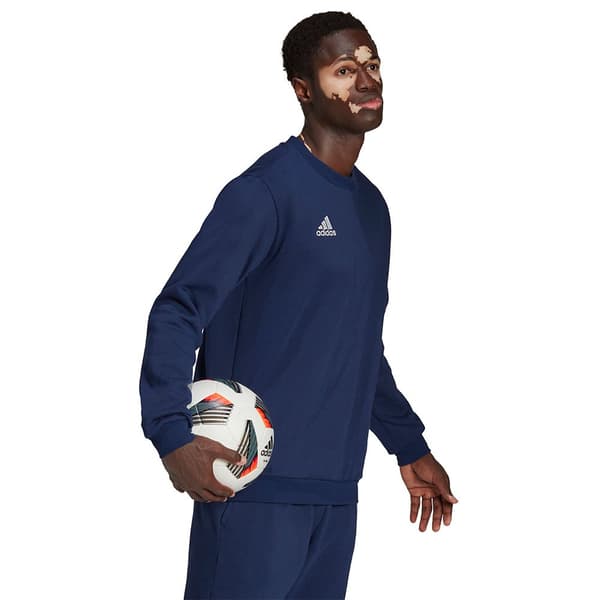 Adidas Sweatshirt Entrada 22 Stadium Sw Blå S / Regular Mand