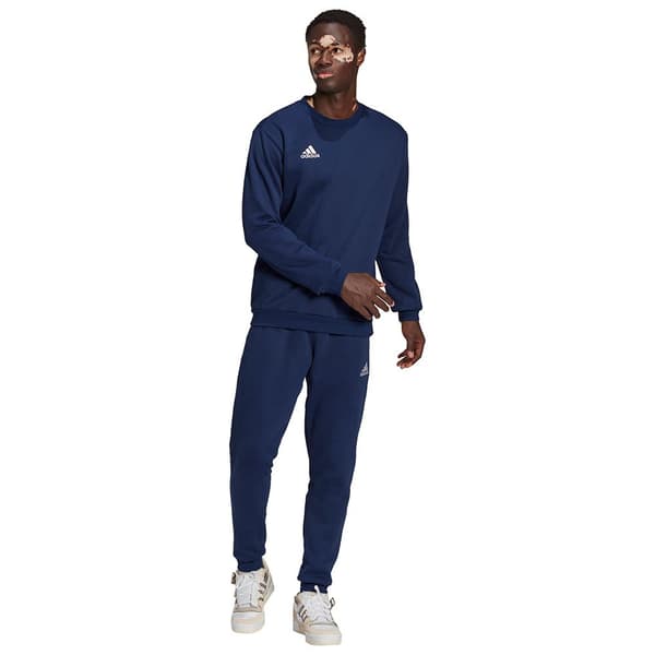 Adidas Sweatshirt Entrada 22 Stadium Sw Blå S / Regular Mand