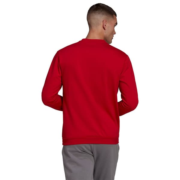 Adidas Sweatshirt Entrada 22 Stadium Sw Rød 2XL / Regular Mand