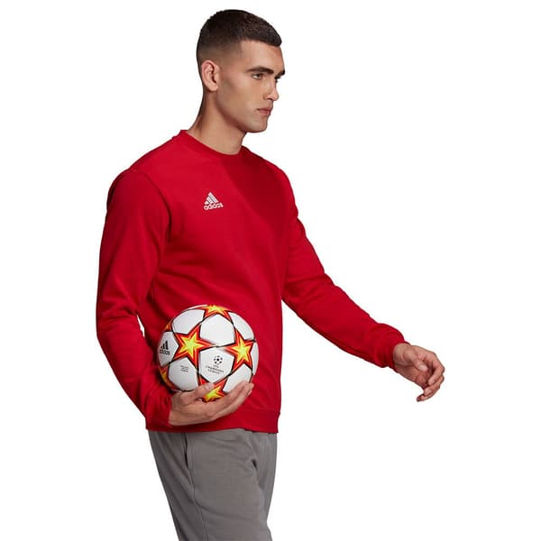 Adidas Sweatshirt Entrada 22 Stadium Sw Rød 2XL / Regular Mand