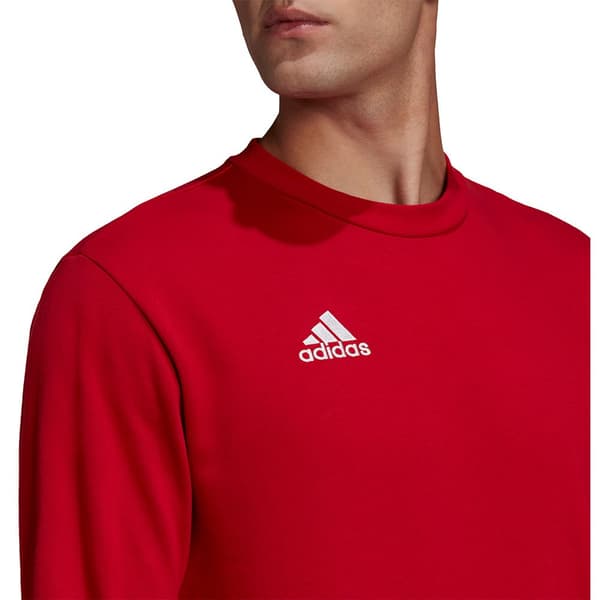 Adidas Sweatshirt Entrada 22 Stadium Sw Rød 2XL / Regular Mand