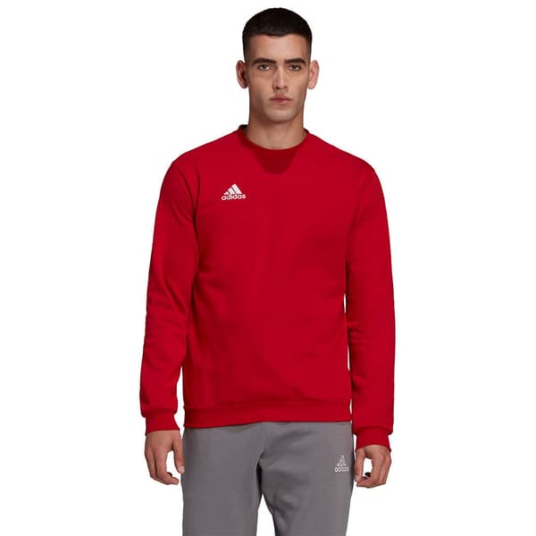 Adidas Huppari Entrada 22 Stadium Sw Punainen XL / Regular Mies