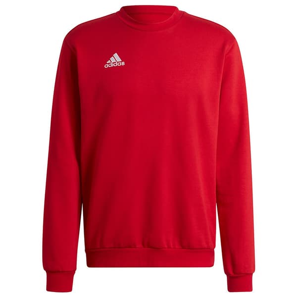 Adidas Huppari Entrada 22 Stadium Sw Punainen XL / Regular Mies