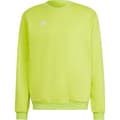 Miniatyrbillede 3 af 6: Adidas Sweatshirt Entrada 22 Stadium Sw Gul L / Regular Mand