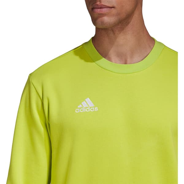 Adidas Sweatshirt Entrada 22 Stadium Sw Gul L / Regular Mand