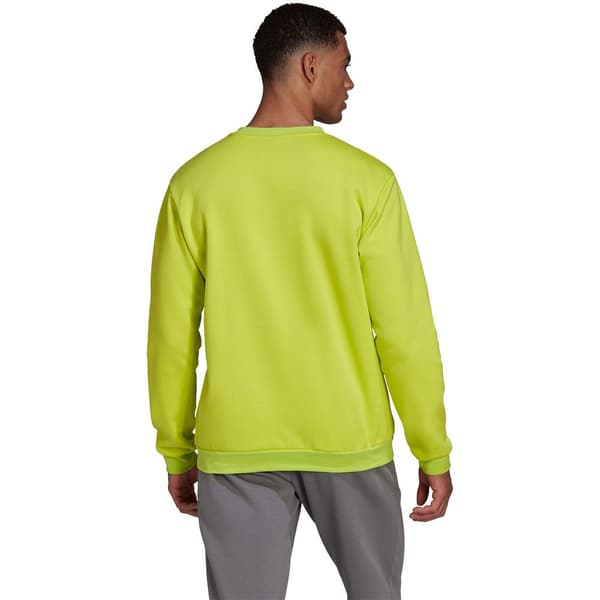 Adidas Sweatshirt Entrada 22 Stadium Sw Gul L / Regular Mand