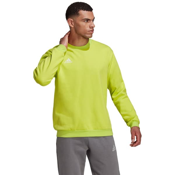 Adidas Sweatshirt Entrada 22 Stadium Sw Gul L / Regular Mand