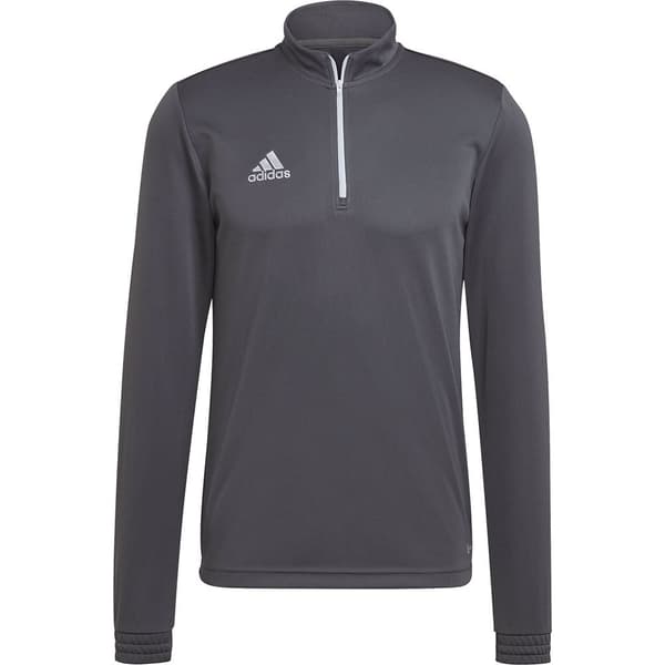 Adidas Tröja Entrada 22 Training Grå XL / Regular Man