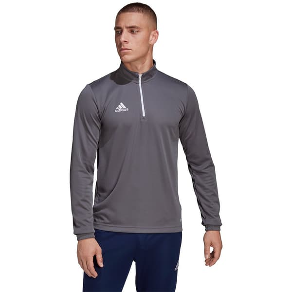 Adidas Sweatshirt Entrada 22 Training Grå XL / Regular Mand