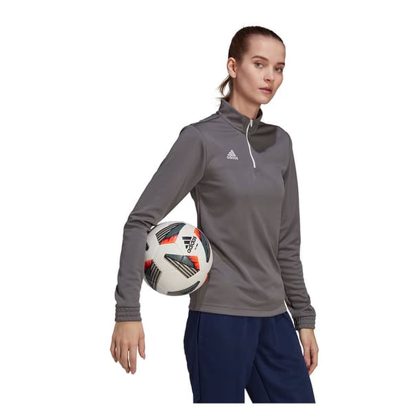 Adidas Sweatshirt Entrada 22 Training Grå XL / Regular Kvinde