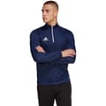 Miniatyrbillede 1 af 4: Adidas Sweatshirt Entrada 22 Training Blå S / Regular Mand